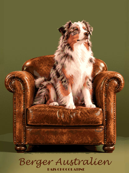 Affiche vintage Berger Australien, portrait illustré d'un chien de berger au regard expressif, création originale Pais Chocolatine.